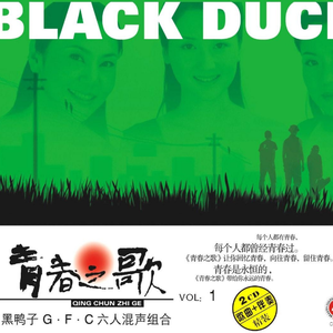 ai智能王丽坤在线播放
